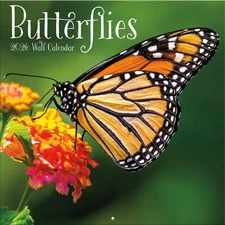 Turner Licensing,  Butterflies Photo 2026 Wall Calendar, 12'' X 12'', 12-Month C