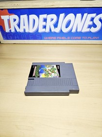 Teenage Mutant Ninja Turtles (Nintendo NES, 1989) testato autentico