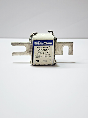 Ferraz Shawmut Protistor ヒューズ en60269 【公式通販】