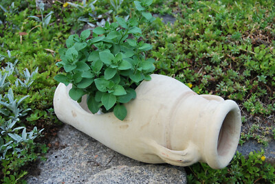 Rmische liegende Amphore, Antike Krug Blumentopf Vase aus Terrakotta  Terracotta | eBay.de
