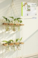 Plant Propagation Station Wall Hanging Plant Terrarium W/ 2 Tiered Wooden Stand
