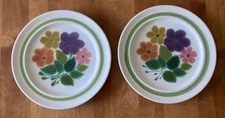 Vintage Franciscan ware earthenware Cottage BoHo dinner plate Floral Pattern