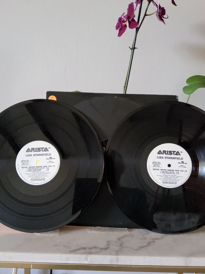 LISA STANSFIELD - "NEVER, NEVER GONNA GIVE YOU UP" / 2X12" w 7 MIXES! / KNUCKLES - Image 4 of 4