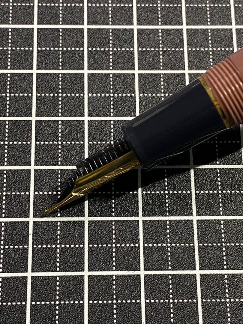 SAILOR Pro Gear Fountain Pen Rose Taupe 14K MF Nib 11-1300-332