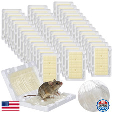 Qualirey 40 Pcs Baited Mouse Glue Traps - Indoor/Outdoor Adhesive Sticky