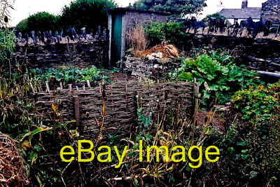 Foto 6x4 Cregneash Dorf - Cregneash Museum Gartenansicht ist nach Norden c2003