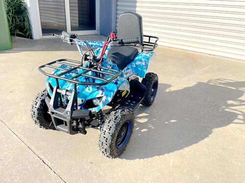 Kids sale farm quad