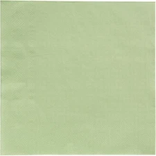 Fun Express Sage Green Luncheon Napkins, Bulk 50 Ct 