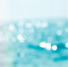 Summer - Crush Water,  scrapbook paper - American Crafts 320259