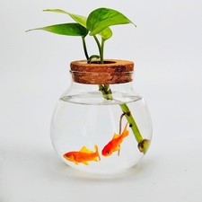Fish Bowl Cute Betta Tank High Clear Fish Glass Bowl Desktop Mini Aquarium Vases