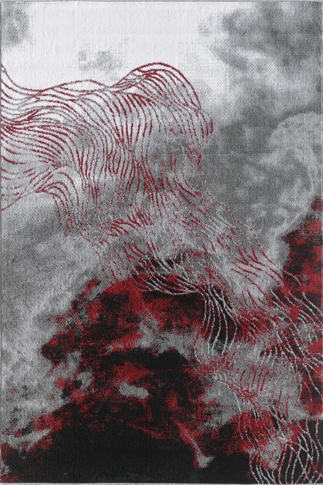 Bild 11 von 31