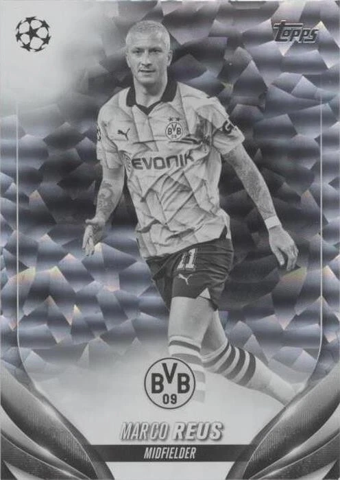 Black & White Icy Foil