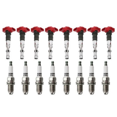 Eldor 8 Ignition Coils Denso U-Groove Spark Plugs Kit for Touareg Cayenne S4 S6