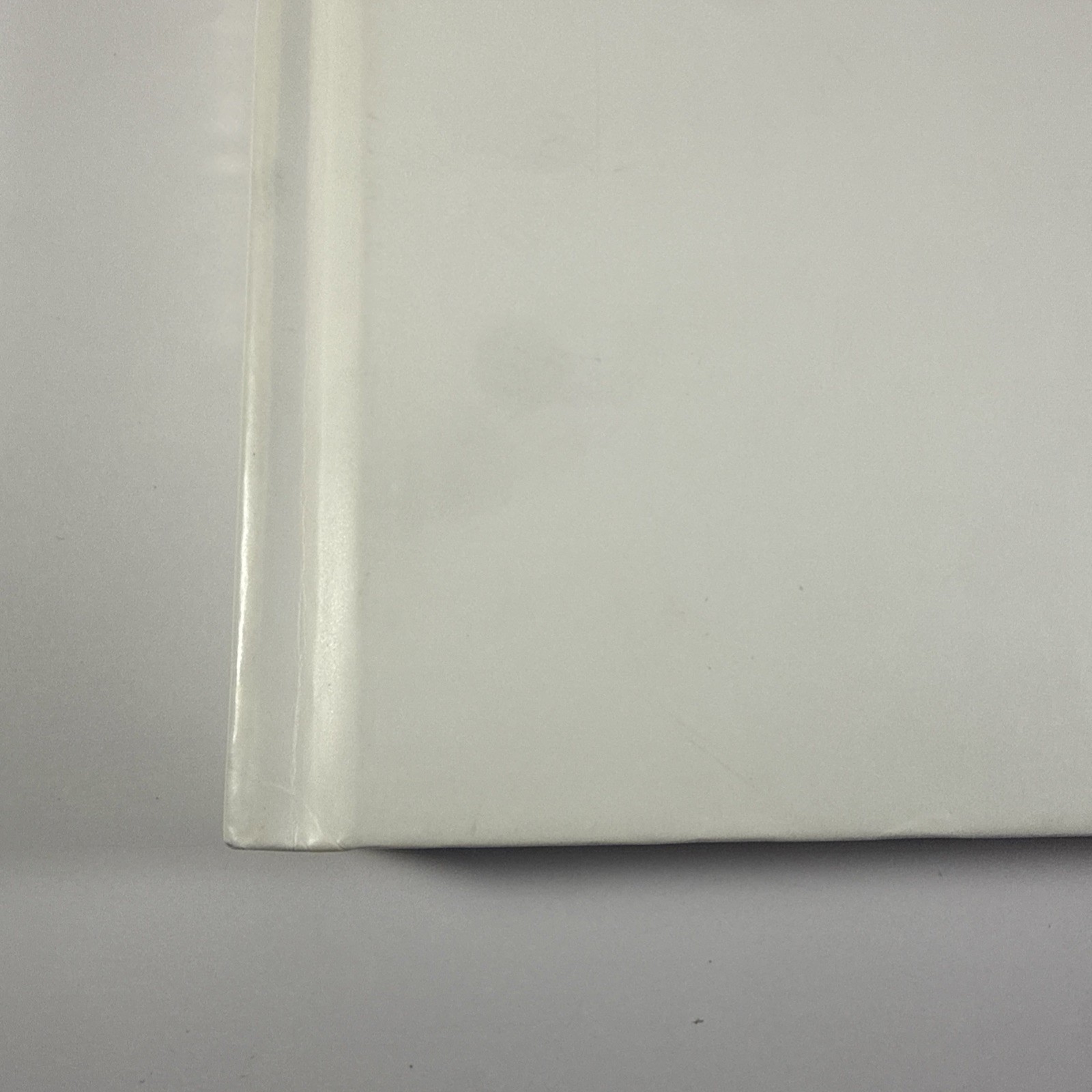Picture 2