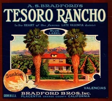 TESORO RANCHO Brand Original Sunkist Fruit Crate Label - Placentia, California