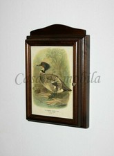 Lite drewno Skrzynka na zamki Brązowa, kolonialna, orzechowa Brelok Szafka drewniana