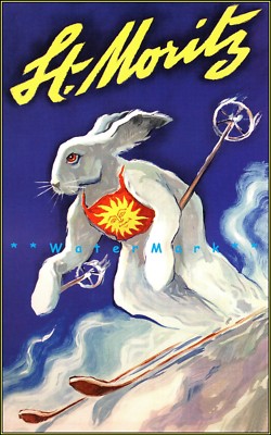 THE WHITE RABBIT SALOON ポスター CL19939.jpg