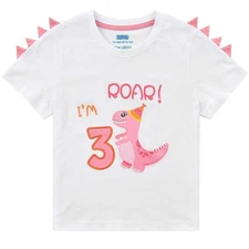 3rd Birthday Girl T-Shirt Dinosaur Party B-Day Themed Tee Gift for Toddler 4T