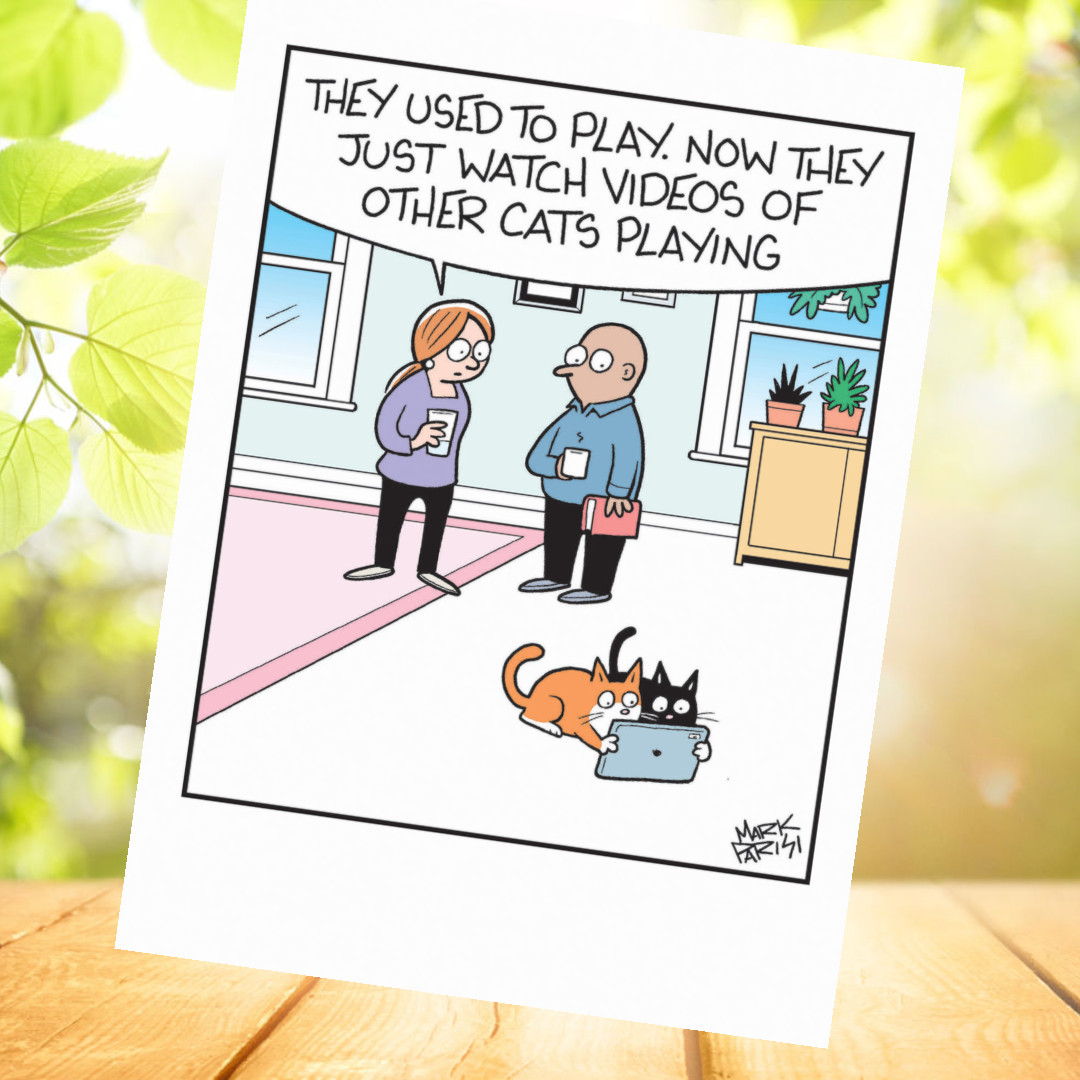 Cat Greeting Card - Cats Playing - M Parisi - Sale For Our Animal Charity