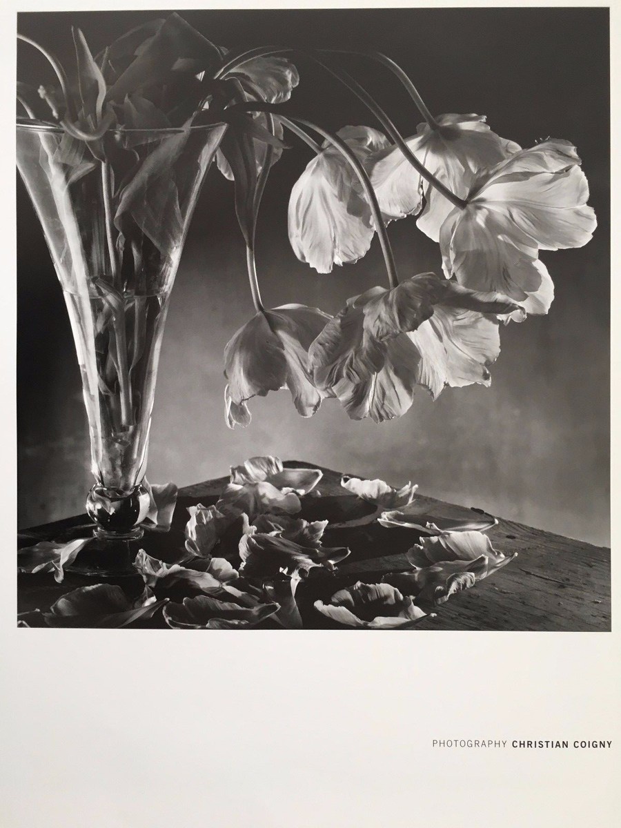 CHRISTIAN COIGNY, 'TRANSPARENCE' AUTHENTIC 2005 POSTER | eBay
