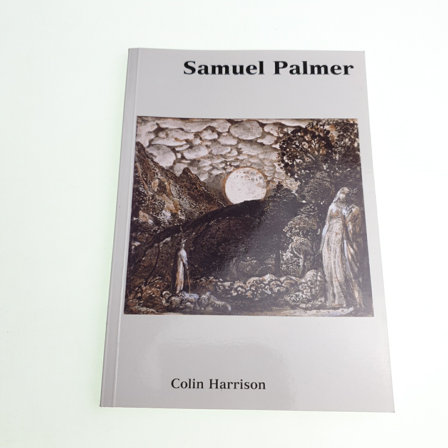 Samuel Palmer Colin Harrison Ashmolean 1997 Paperback Book
