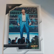 2022 Panini WWE NXT - #100 Triple H Silver Base TRADING Card