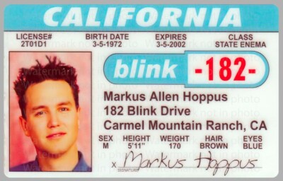 Blink-182 Markus Hoppus Rock Group Carmel Mountain Ranch License
