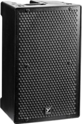 Yorkville PS10P Parasource Series 10'' 800 Watt High Efficiency Loudspeaker