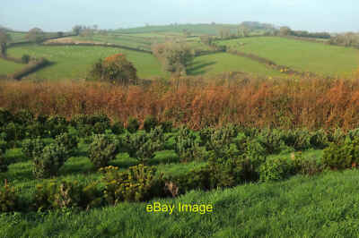 Photo 6x4 Farmland and nursery, Stoke Gabriel Aish From Stoke Gabriel foo c2020
