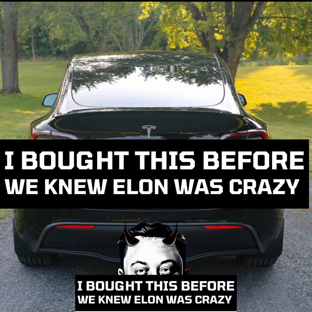 Adesivo Tesla Anti Elon - Sticker 11.5x5.5cm Per Auto E Vetri | Resistente Alle Intemperie Con Scritta Umoristica