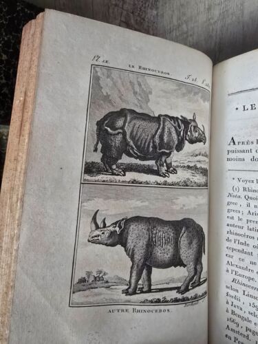 1799 BUFFON - NATURAL HISTORY OF QUADRUPEDS - Elephants, Rhinoceroses, Opossums - Imagen 21 de 24