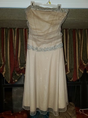 silver and gold gown