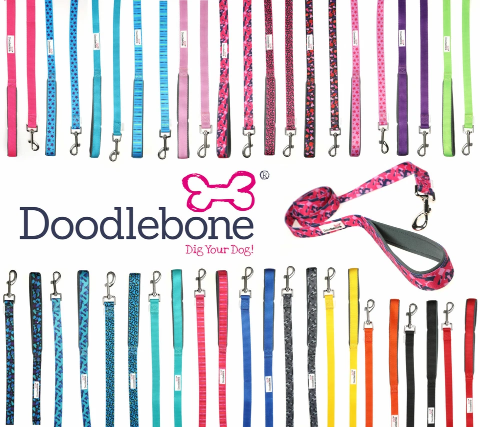 Doodlebone Bold Padded Nylon Dog Puppy Leads 1.2m Long - 3 widths - colours