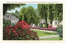 c1930 PC: Cottages of Loma Linda Sanitarium & Hospital - Loma Linda, California