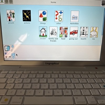 iBook G4 With Lingraphicare