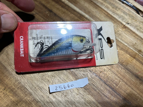 Bass Pro Shops XPS crankbait fishing lure (25660) - 第 1/5 張圖片