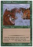 Magic the Gathering MTG Durkwood Boars (127) Starter 1999   LP
