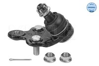 Meyle 30-160100044 Traggelenk Vorne Rechts FüR Lexus RX Toyota Camry Previa II