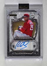 2024 Wild Card MATTE Premium White - Gold 2/5 Francisco Morales Auto Shield 8q5