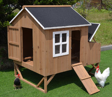 Chicken Coop Nest Box Backyard Poultry Hen House Huge 8 Bantams Extra Large