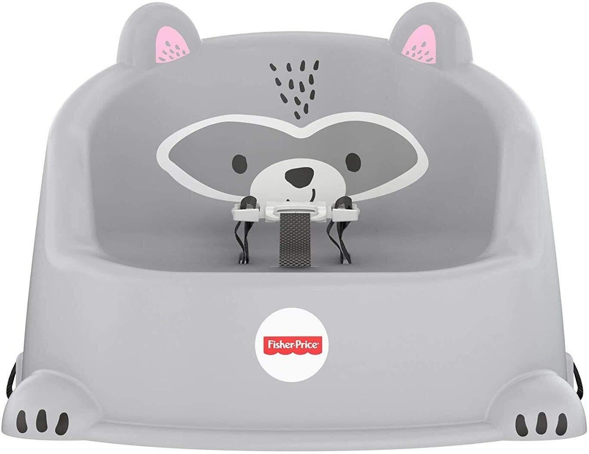 Bumbo Chair Fisher Price Hungry Raccoon Booster Seat GKF91 Baby