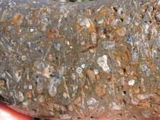Nódulo de vivero de ágata del noroeste del Pacífico de 2,9 lb. Piedra GALAXIA de basalto de pórfido