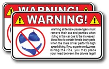 2pk Funny Warning Decal Sticker No Bra Painties Vinyl Graphic 3m Trunk Car