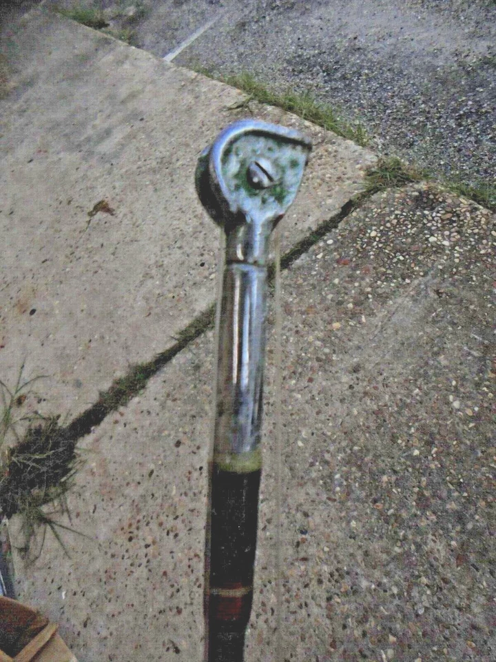 Penn Special Senator 复古 6/0 钓鱼竿 3165 ARW 6.6' 40-60(带卷轴) — 第 3/4 张图片