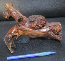 Manzanita Burl Driftwood / aquarium terrarium D486 10 1/2" x 3 1/2" x 4"