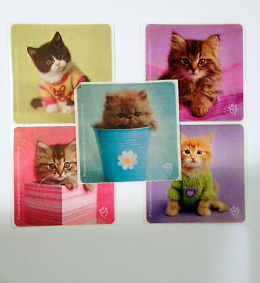 20 Rachael Hale Cat Kitten  Stickers Party Favors 
