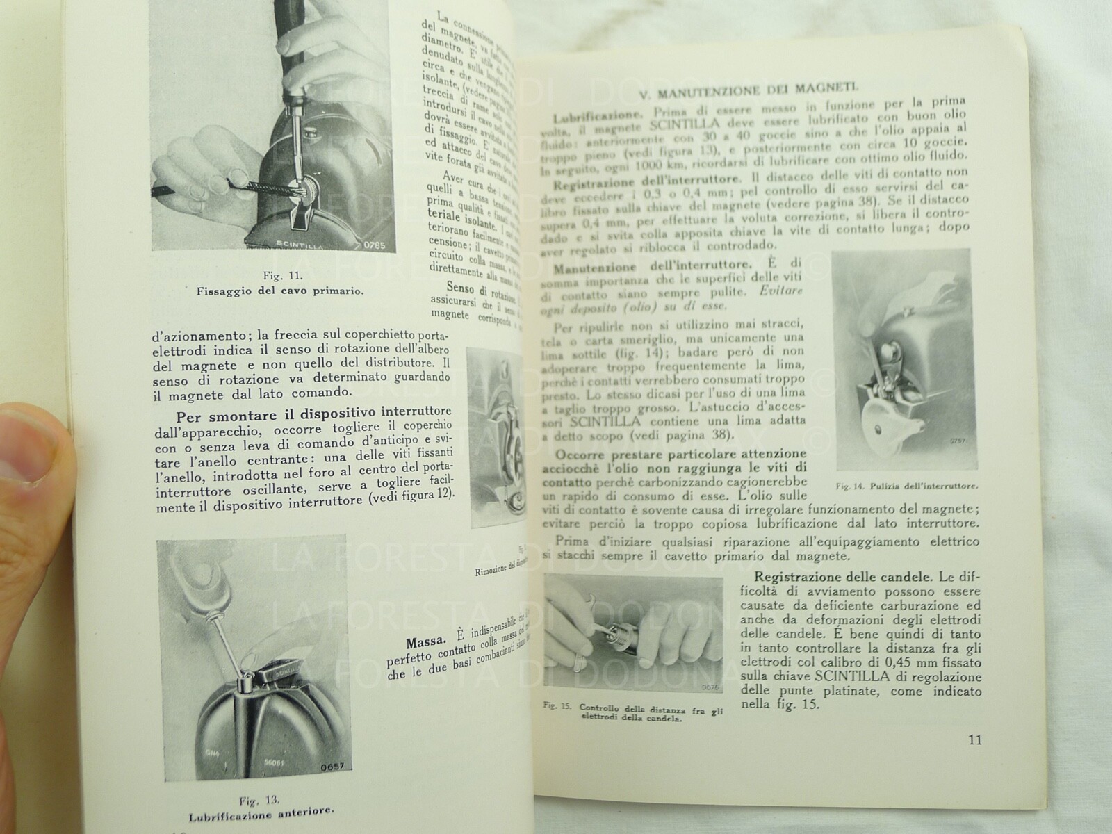 Picture 6 of 6