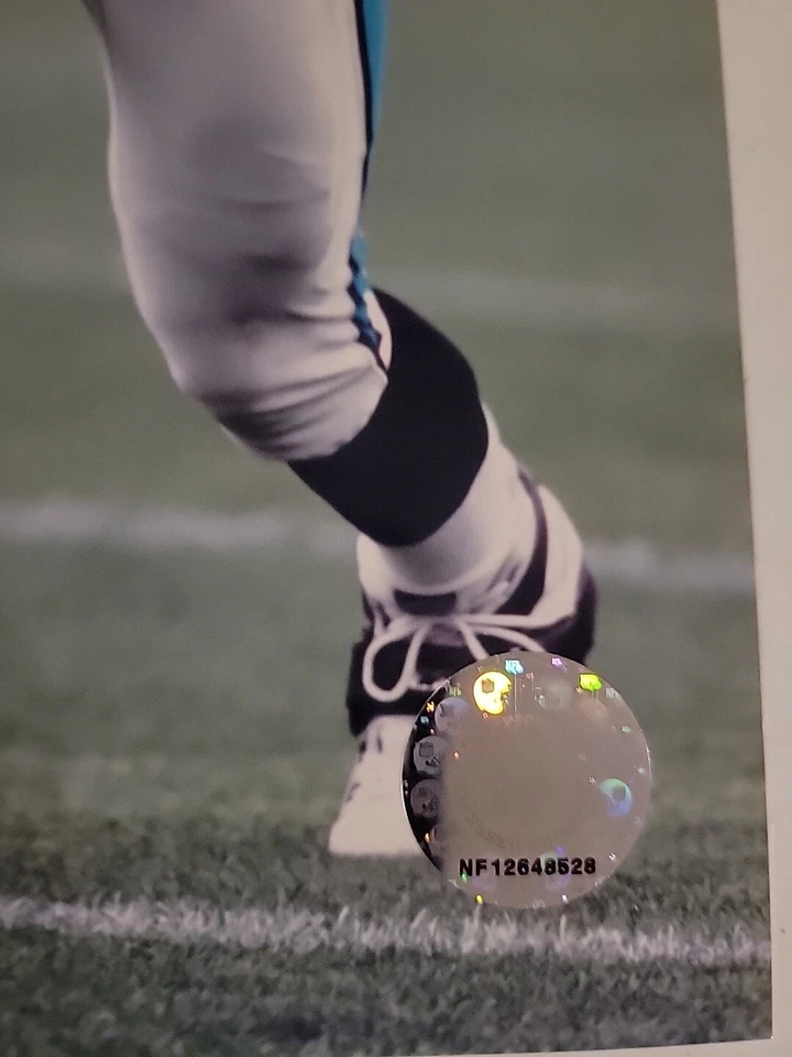 ARCHIVO DE FOTOS CON LICENCIA OFICIAL DE JULIUS PEPPERS FOTO 8X10 CAROLINA PANTHERS Foto 2 de 2