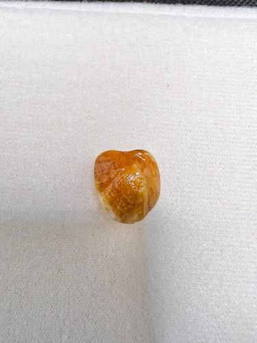 Lab Certified Machh Mani Natural Gemstone | Authentic Machhmani - Picture 3 of 5