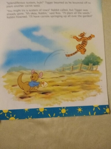 Bild 5 von 15